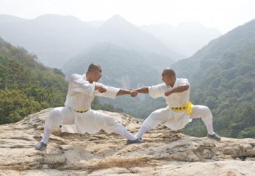 Kung Fu / Tai Chi / Qi Gong